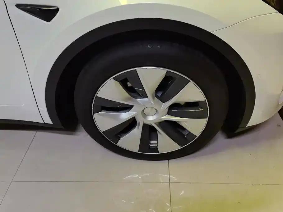 Tesla Model Y — миниатюра 6