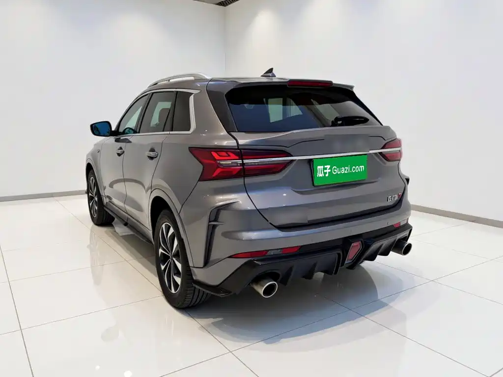 SWM SWM G01 — миниатюра 4