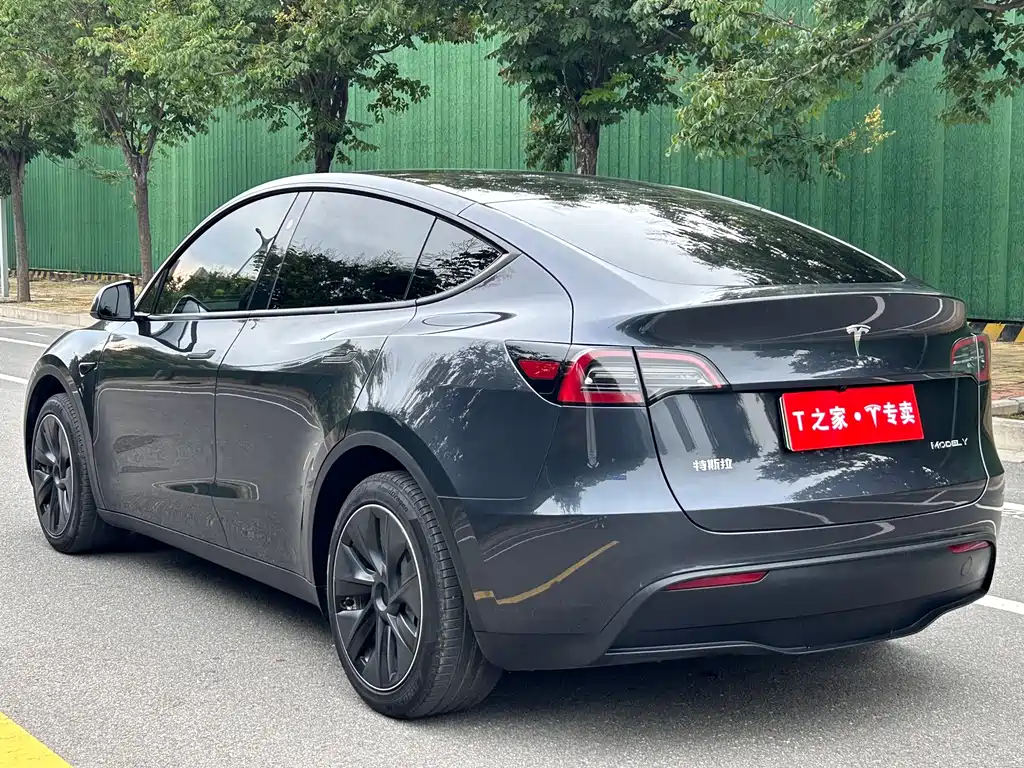 Tesla Model Y — миниатюра 9