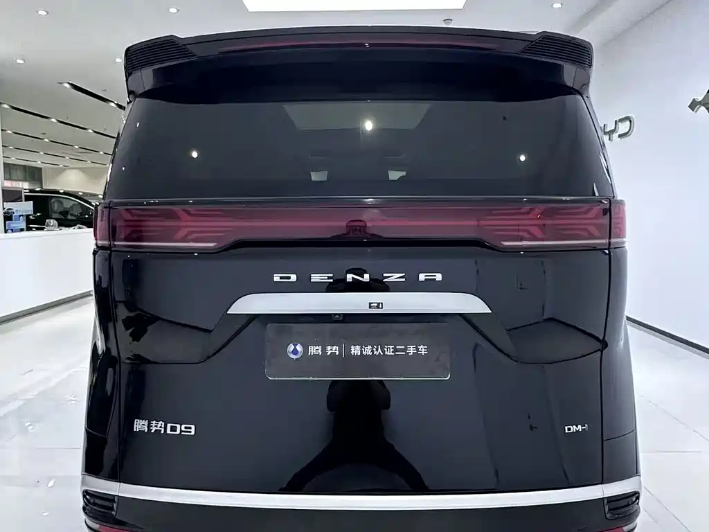 Denza Denza D9 — миниатюра 10