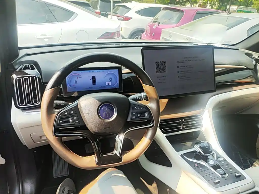 BYD Pro New Energy — миниатюра 10