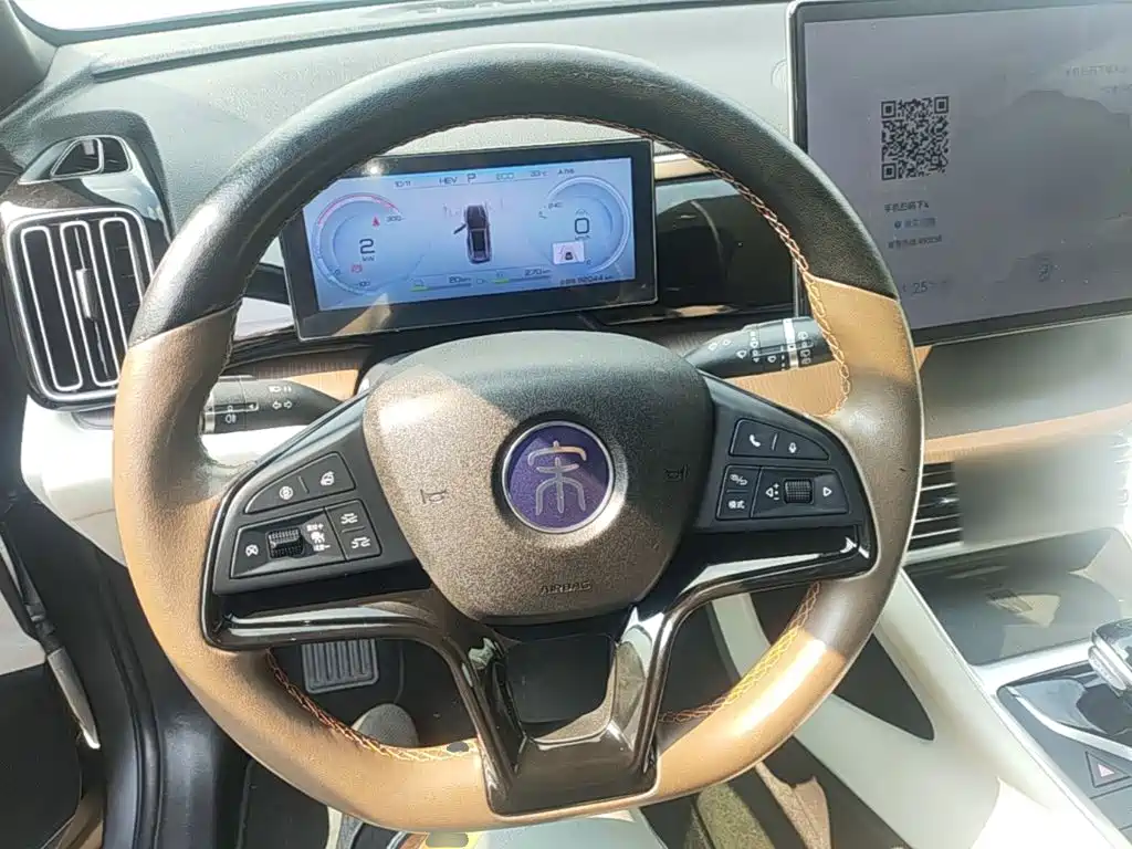BYD Pro New Energy — миниатюра 11