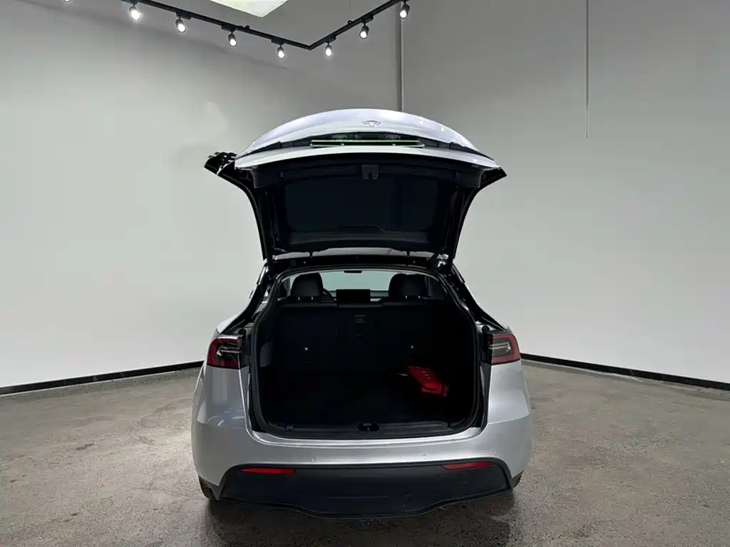 Tesla Model Y — фотографии объявления, Фото 11