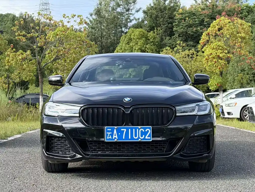 BMW 5 Series — миниатюра 2