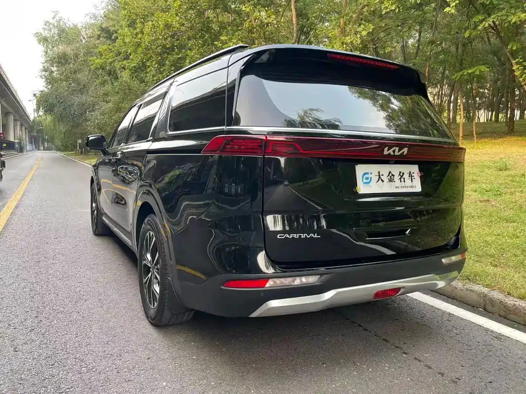 Kia Carnival — миниатюра 17