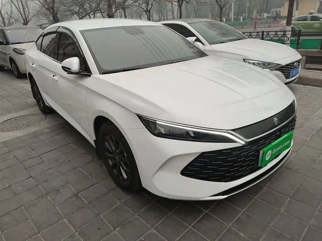 BYD QIN L