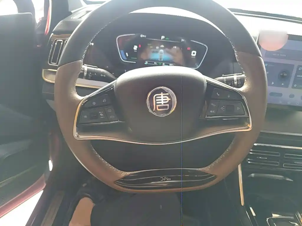 BYD Tang New Energy — миниатюра 11
