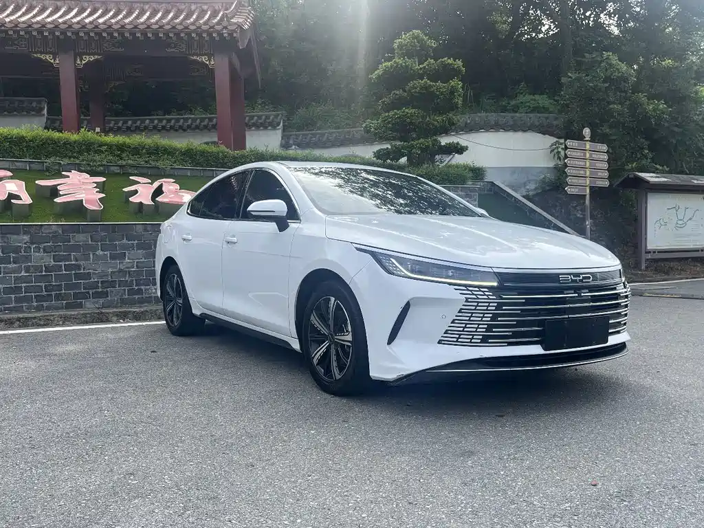 BYD Destroyer 05 — миниатюра 3