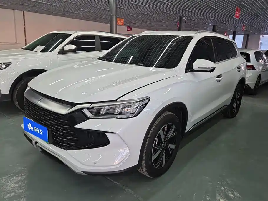 BYD Pro New Energy 2024