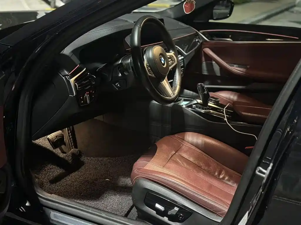 BMW 5 Series 5 2019 530Li Premium M Sport