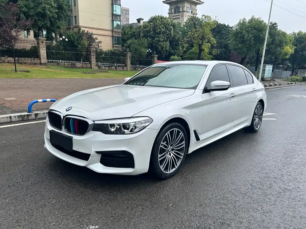 BMW 5 Series 2019