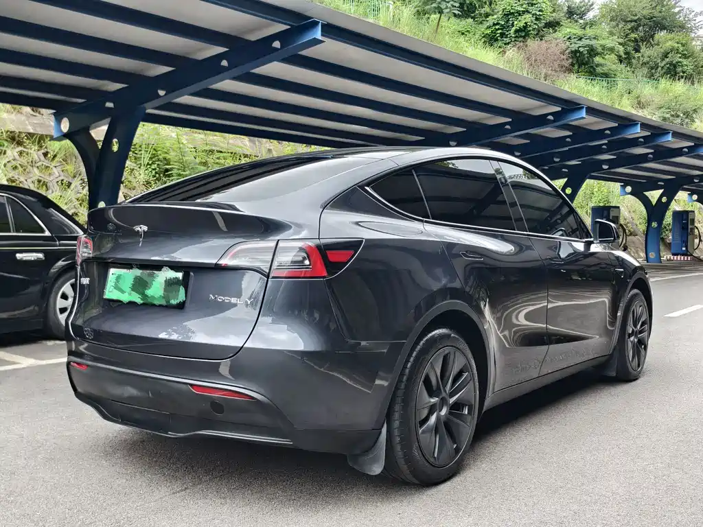 Tesla Model Y — миниатюра 12