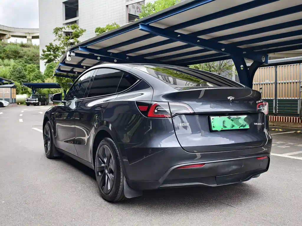 Tesla Model Y — миниатюра 14
