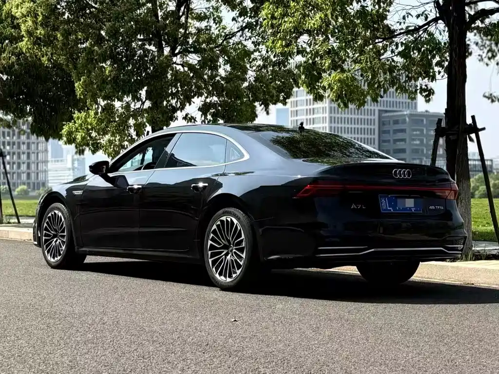 Audi A7L 45 TFSI Luxury Type, фото 2