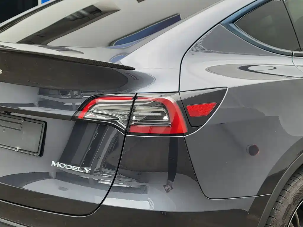 Tesla Model Y — миниатюра 16