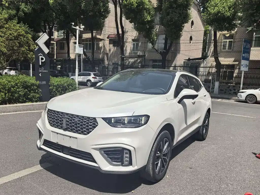 Wey Wey VV5