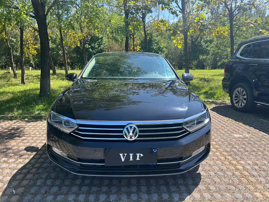 Volkswagen Magotan — миниатюра 2