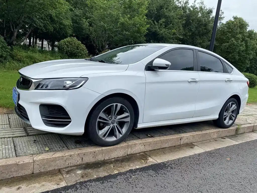 Geely Binrui 2019