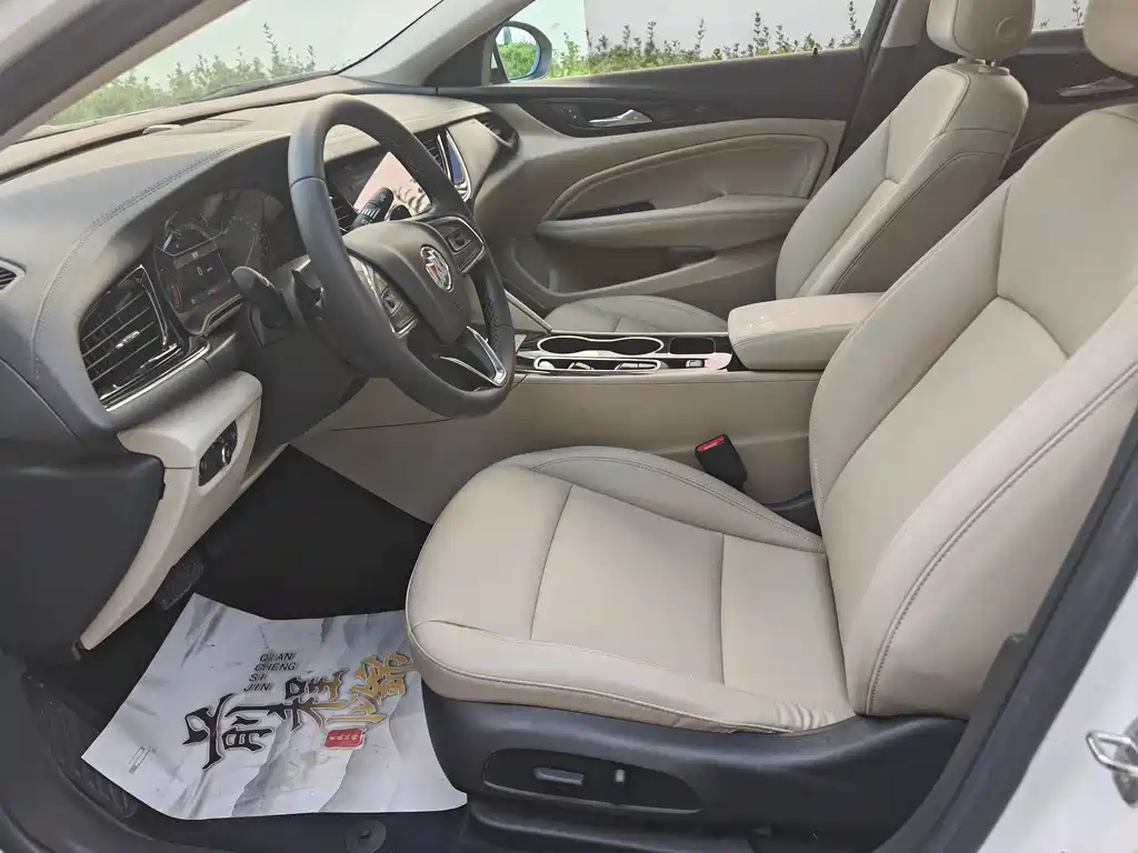 Buick Regal — миниатюра 14
