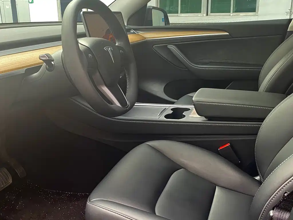 Tesla Model Y — миниатюра 14