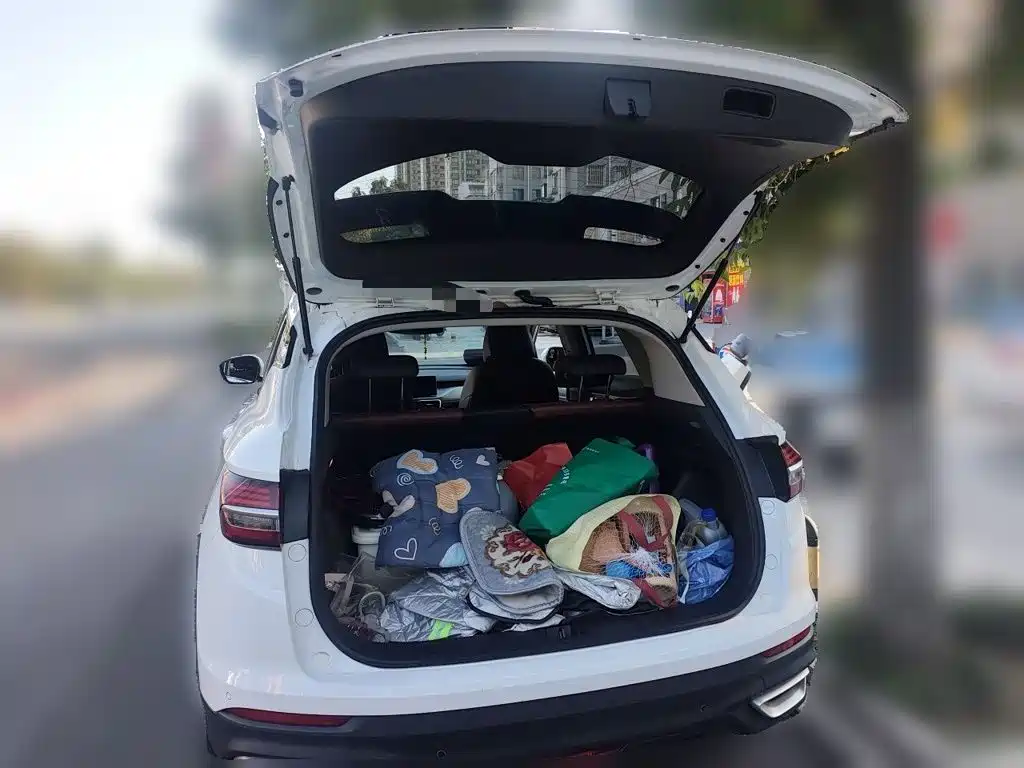 Geely Binyue — миниатюра 15