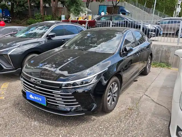 BYD DESTROYER 05 2024