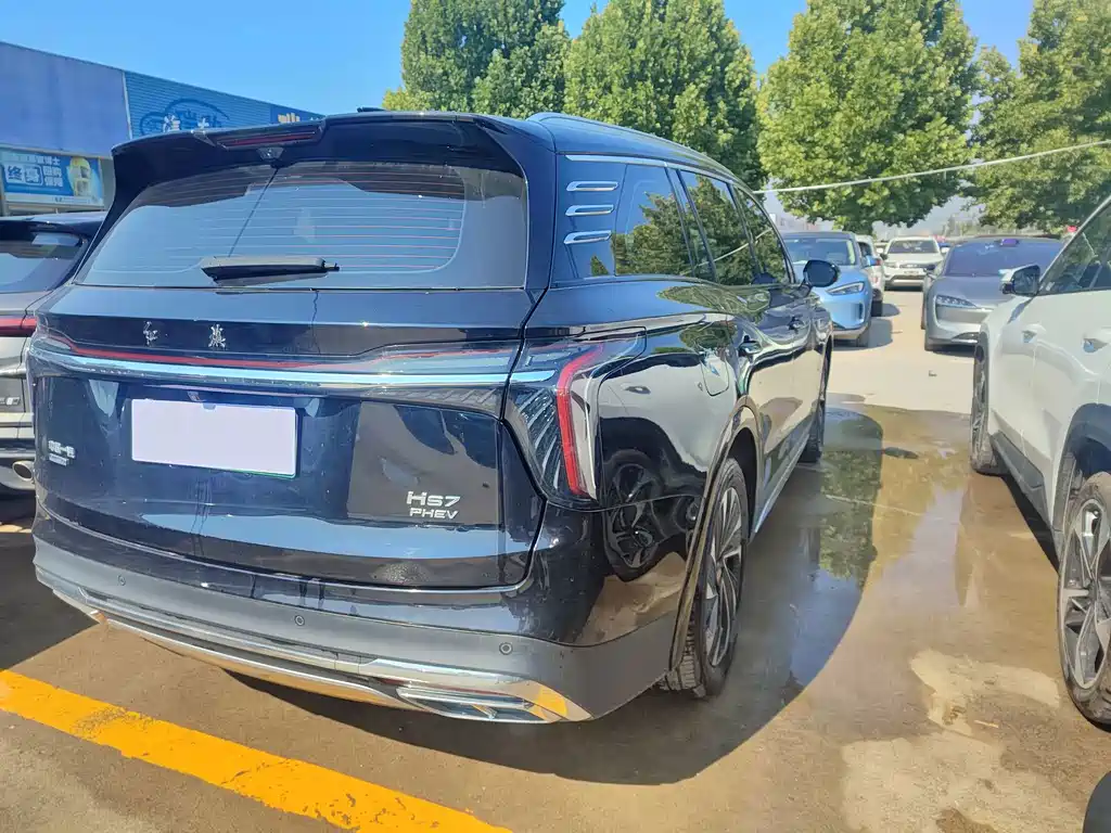 Hongqi Hongqi HS7 — миниатюра 12