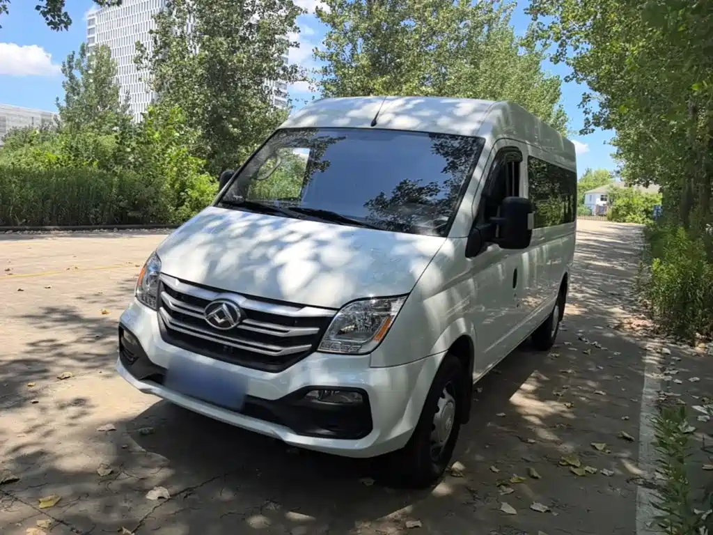 Maxus V80