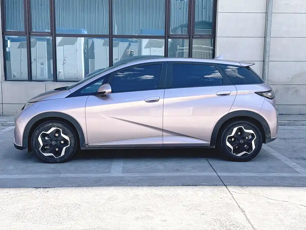 BYD Dolphin — миниатюра 2