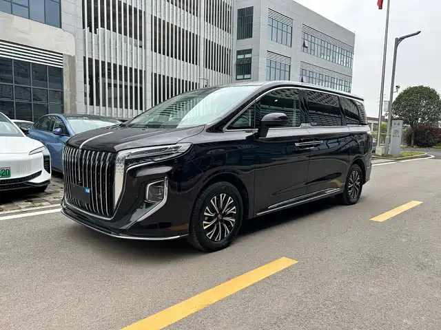 2024 Hongqi HQ9