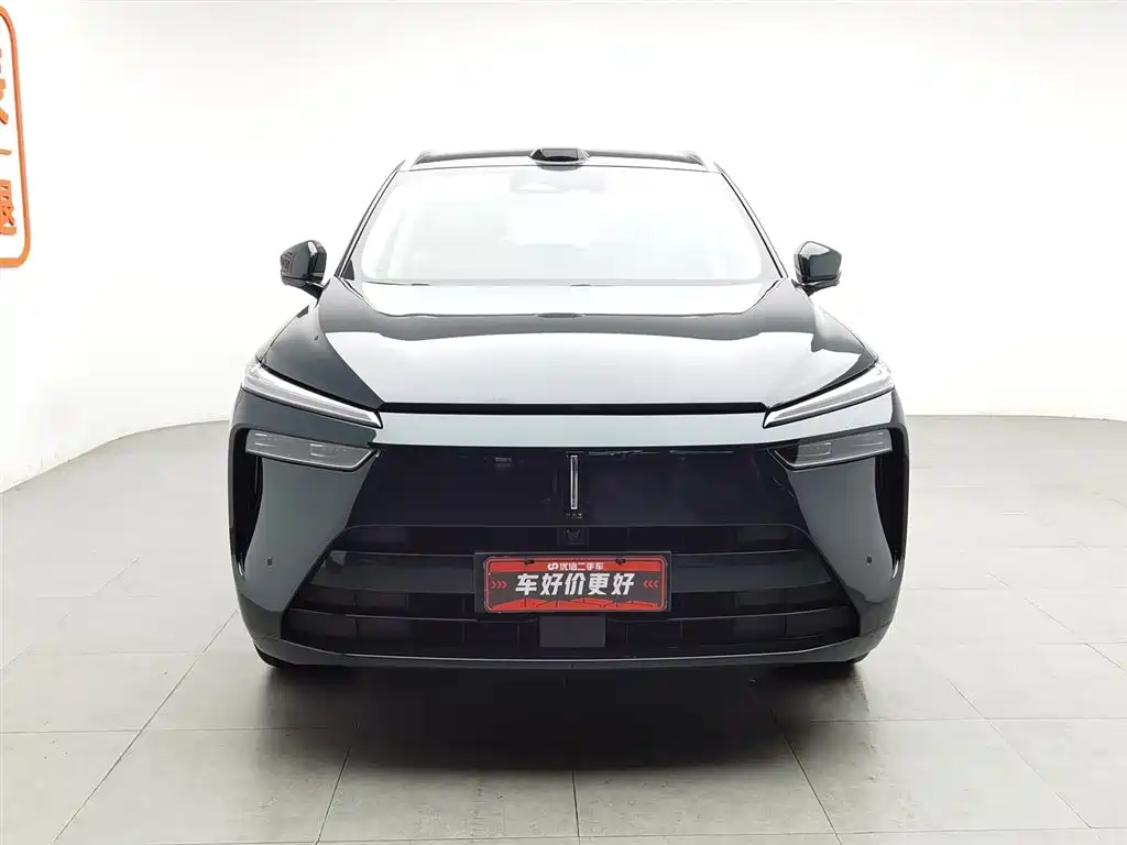 WEI PAI WEI BRAND BLUE MOUNTAIN