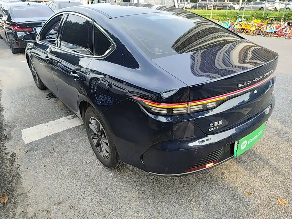BYD Destroyer 05 2024 DM-i 55KM Luxury