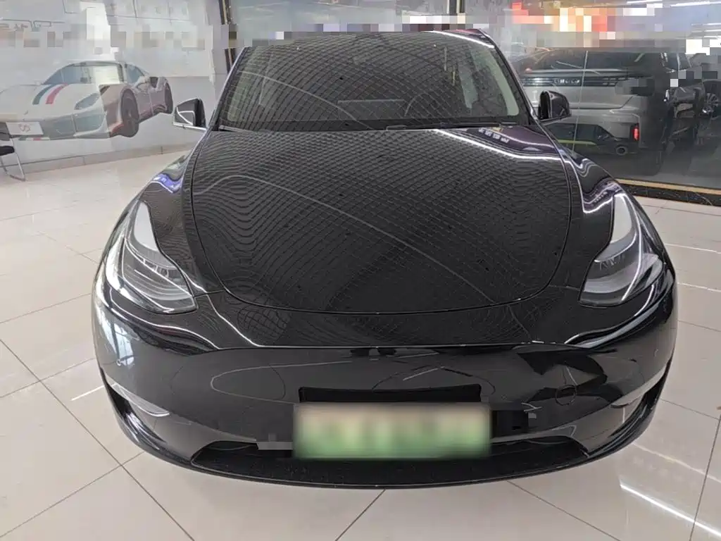 Tesla Model Y — миниатюра 3
