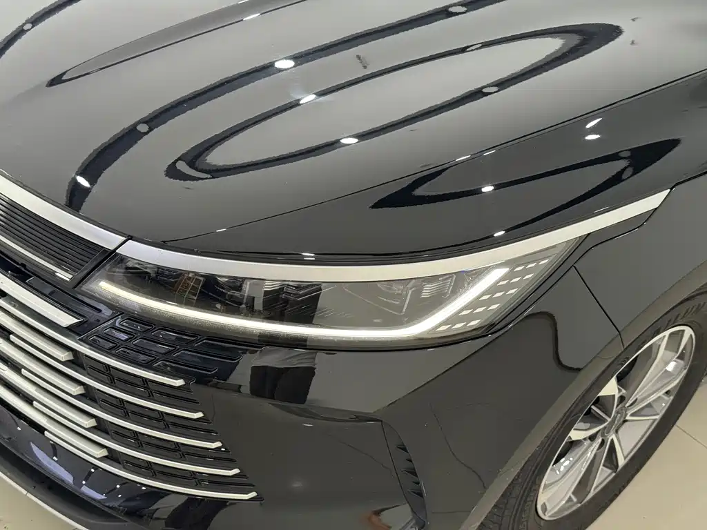 BYD Destroyer 05 — миниатюра 3