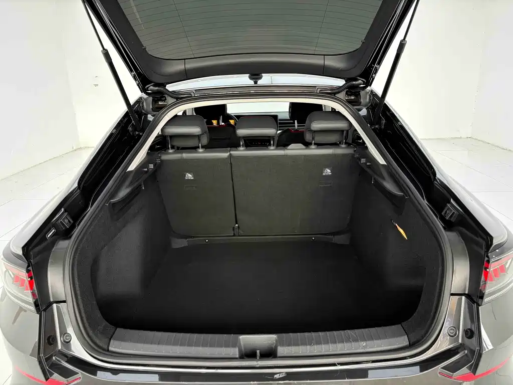 Volkswagen Lamando — миниатюра 12