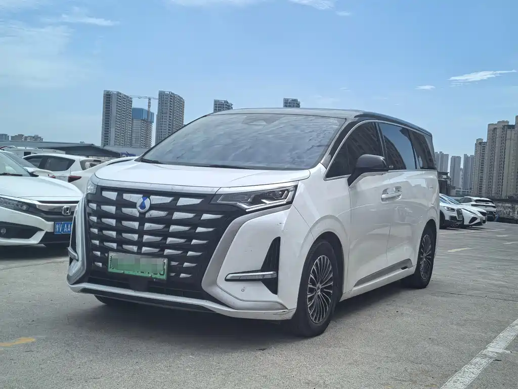 Denza Denza D9