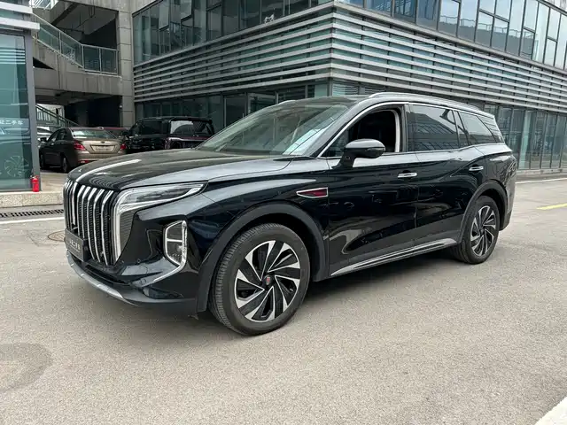 2024 Hongqi HS7