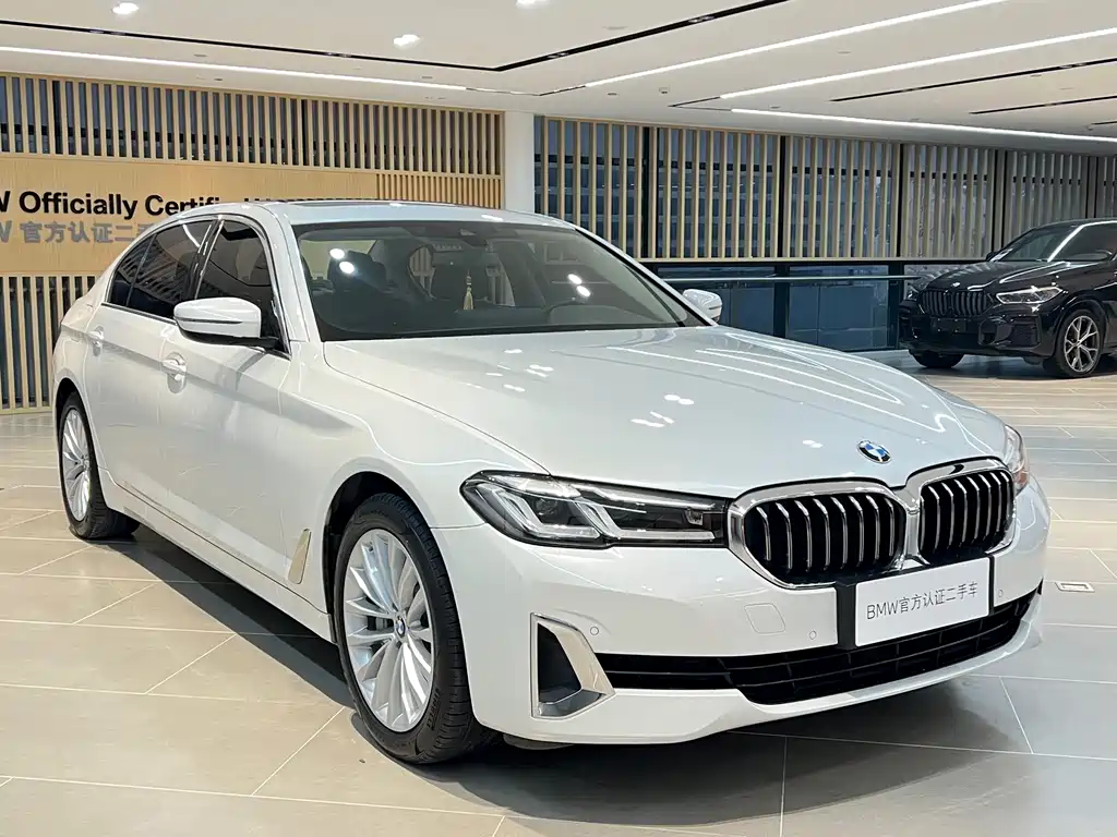 BMW 5 Series New Energy — миниатюра 2