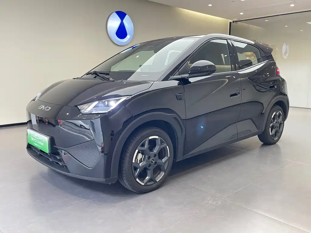 BYD Seagull