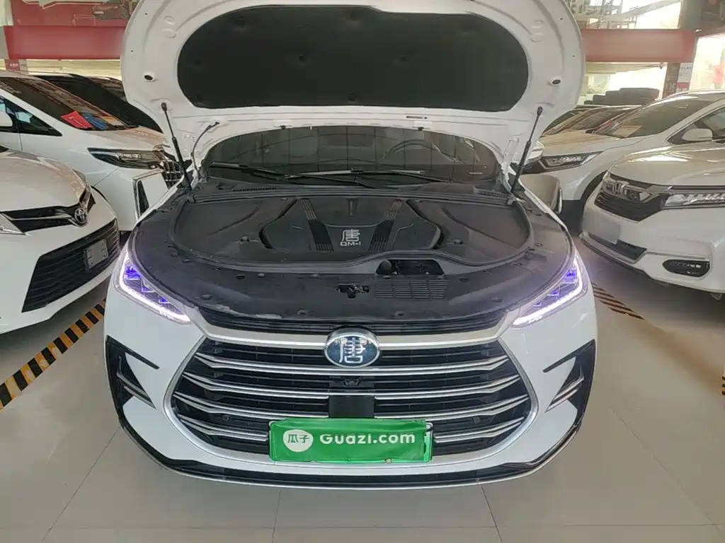 BYD Tang New Energy — миниатюра 20