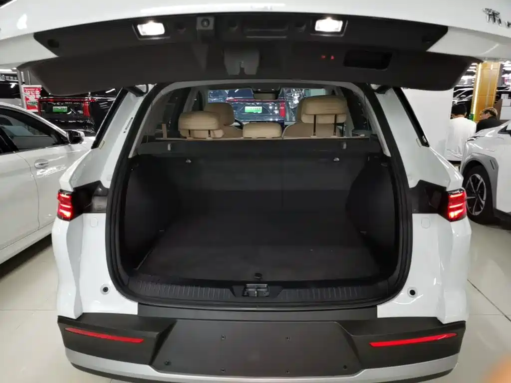 BYD Pro New Energy — миниатюра 19