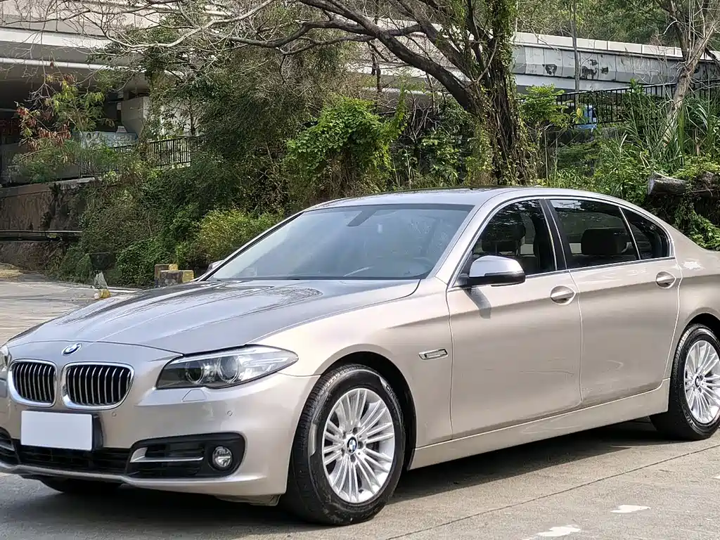 BMW 5 Series 2015