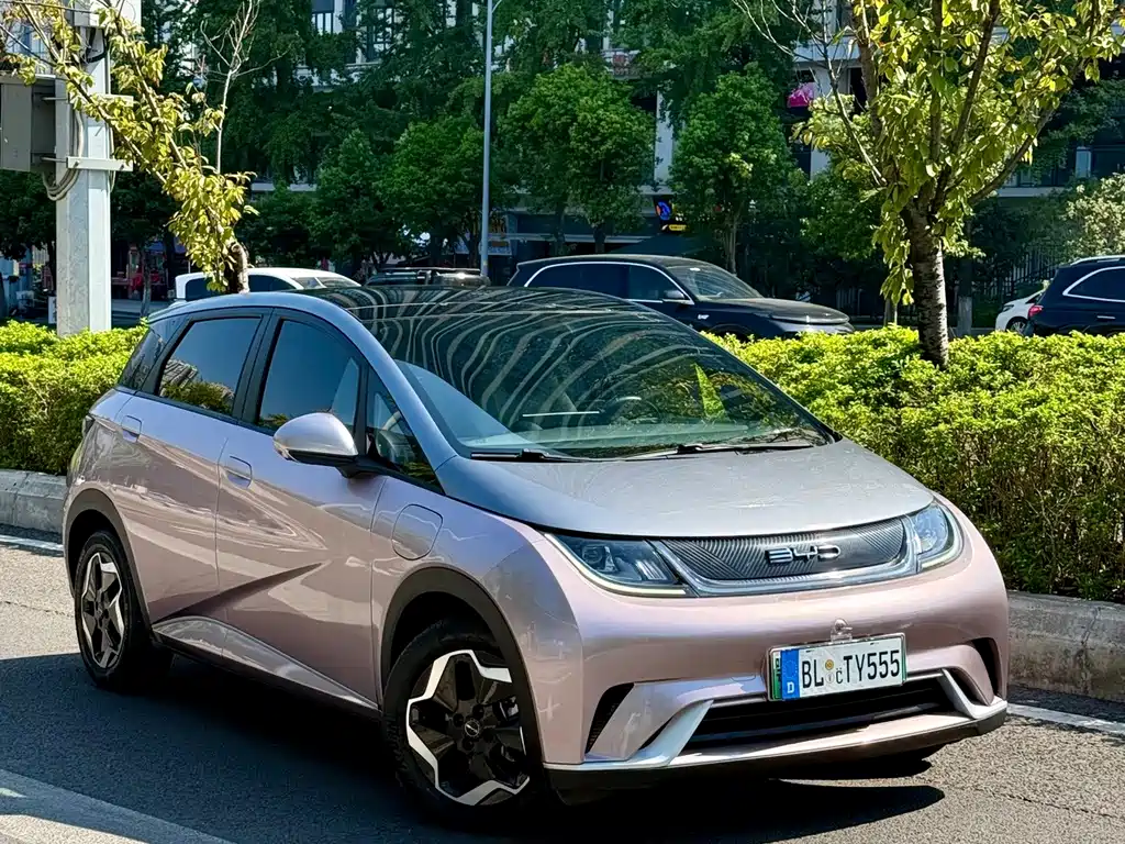 BYD Dolphin — миниатюра 3