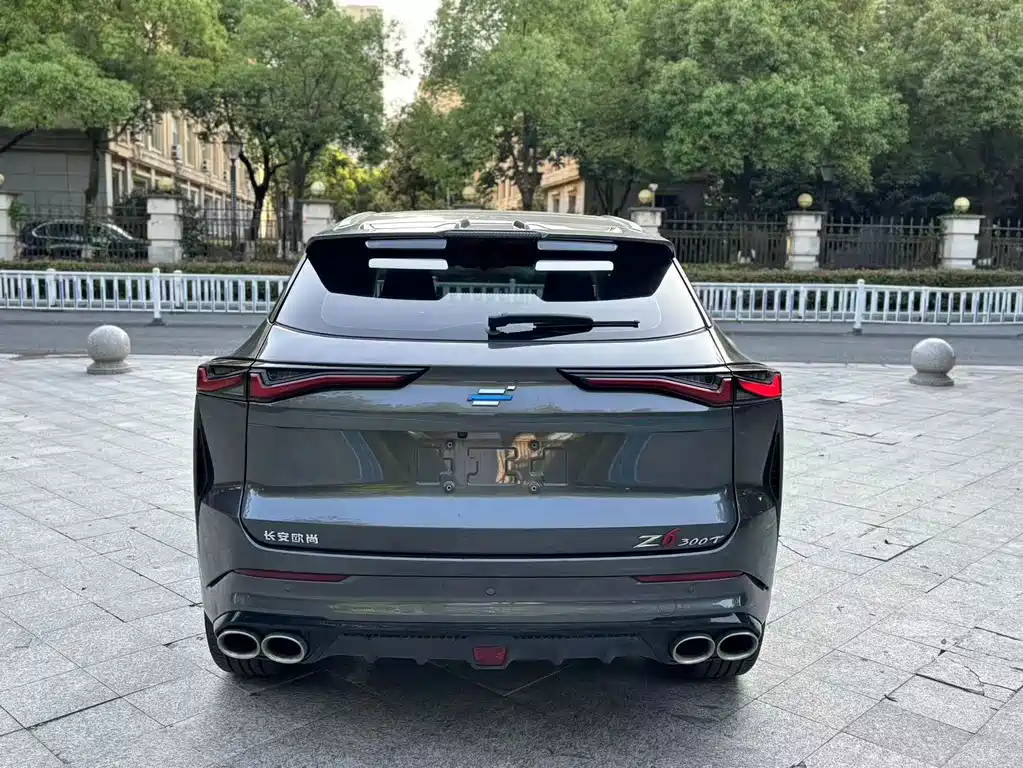 Oshan Oushang Z6 — миниатюра 15