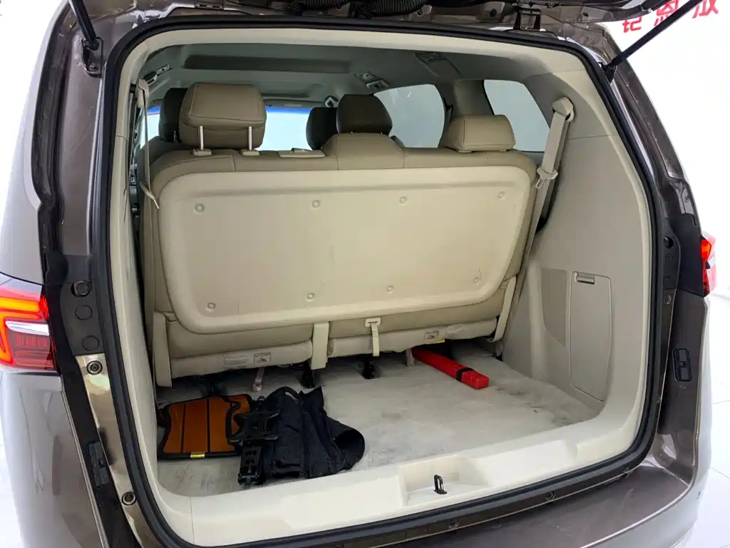 Buick GL8 — миниатюра 10