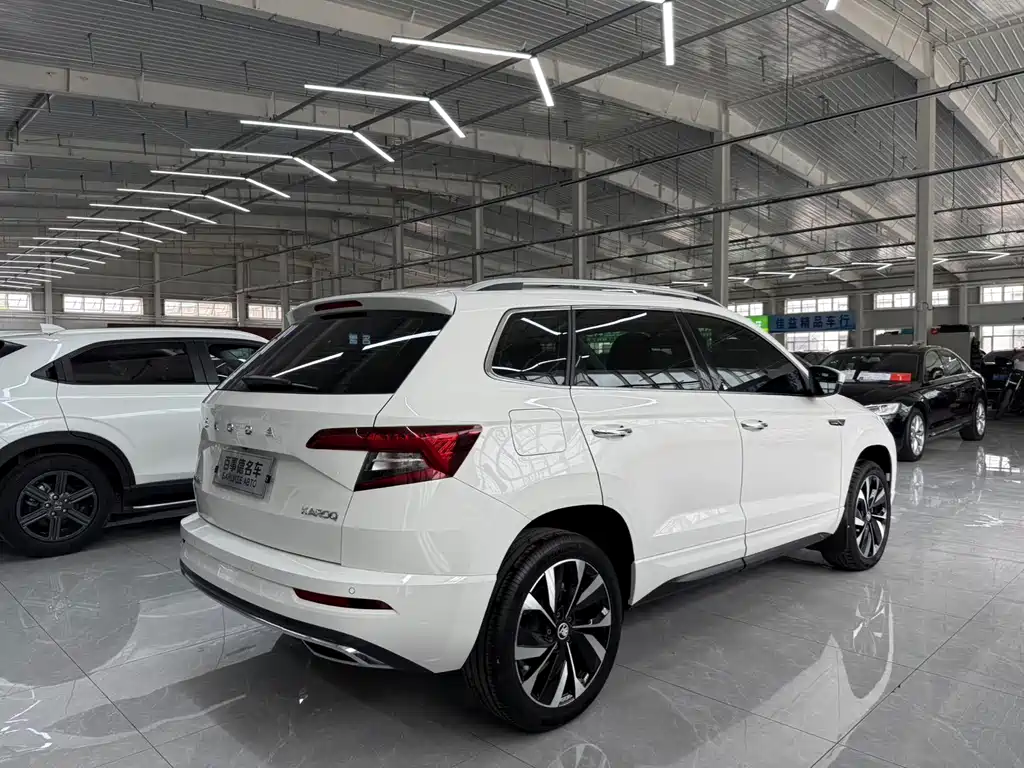 Skoda Karoq — миниатюра 9