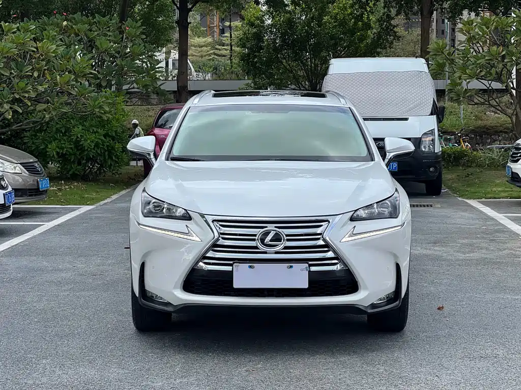 Lexus NX — миниатюра 2