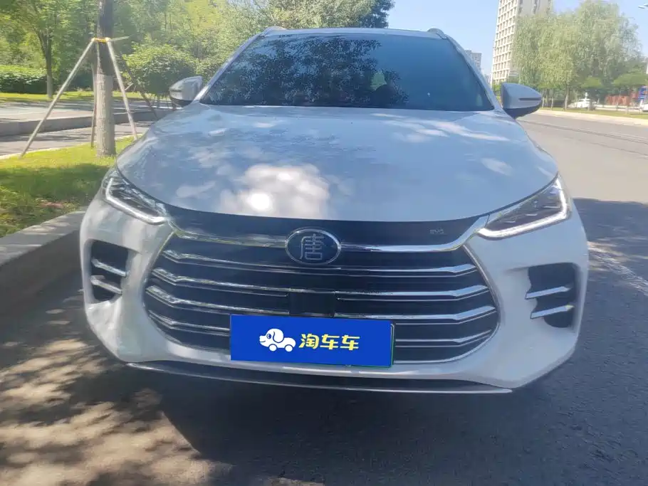 BYD Tang New Energy — миниатюра 2