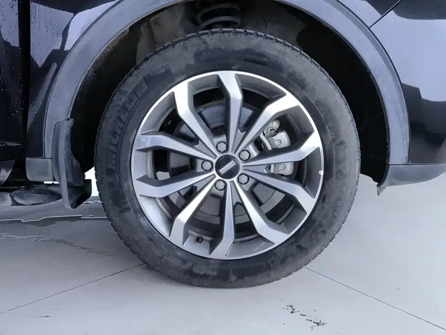 Wey Wey VV6 — миниатюра 6