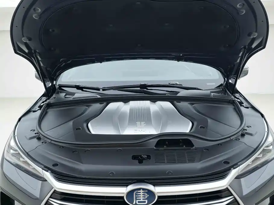 BYD Tang New Energy — миниатюра 7